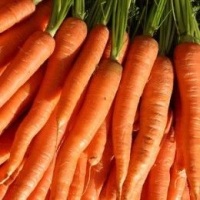 морковь для соблюдения фигуры