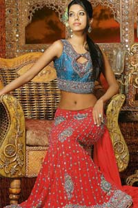 мода Индии сари чоли