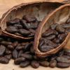какао полезные свойства и противопоказания
