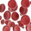 как повысить гемоглобин в крови