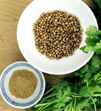 семена кориандра для лечения ячменя