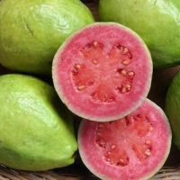 Гуава: полезные свойства и противопоказания тропического грушевидного фрукта 