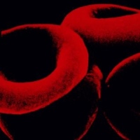 как повысить гемоглобин
