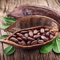 какао и его свойства