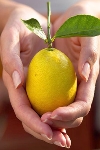 лечение лимоном