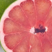 Помело: полезные свойства и противопоказания экзотического фрукта 