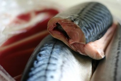 блюда из рыбы подготовка приготовление