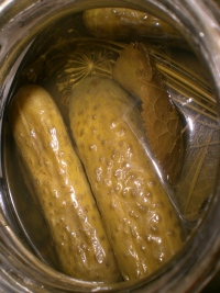 консервирование огурцов в горчице